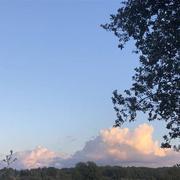 La Roque-sur-Pernes 11/10/2022