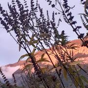 Champagneux 17/10/2022