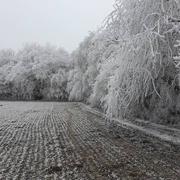 Guichainville 24/10/2022