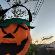 Olonne-sur-Mer 31/10/2022