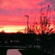 Revigny-sur-Ornain 04/11/2022