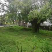 Ayala Alabang Village 05/11/2022