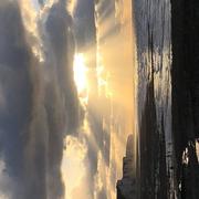 Baie de Somme (Somme) 05/11/2022