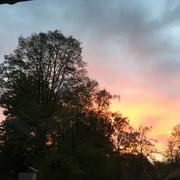 La Ferté-Frênel 08/11/2022