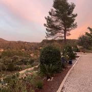 Belgentier 13/11/2022