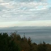 Sainte-Catherine 13/11/2022