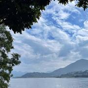 大埔 Tai Po 14/11/2022