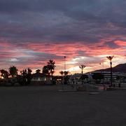 La Cizaña 16/11/2022