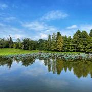 輞井圍 Mong Tseng Wai 17/11/2022