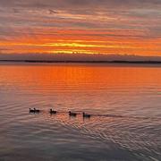 Balaruc-les-Bains 21/11/2022