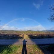 Bédarieux 22/11/2022