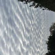 Cabanac-et-Villagrains 26/11/2022