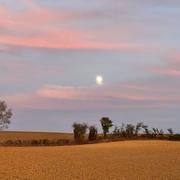 Castelnau-d'Arbieu 29/11/2022