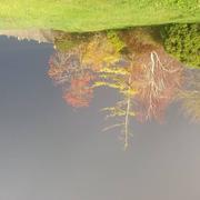 Saint-Père 01/12/2022