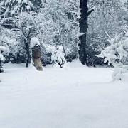 Saint-Auban 03/12/2022