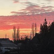 Montoir-de-Bretagne 14/12/2022