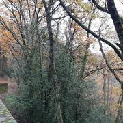 La Londe-les-Maures 16/12/2022