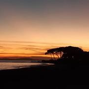 La Londe-les-Maures 16/12/2022