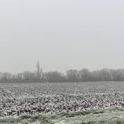 Munchhouse 17/12/2022