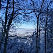 Barembach 19/12/2022