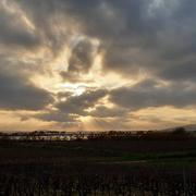 La Londe-les-Maures 03/01/2023