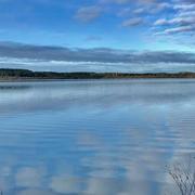 Étang de Léon (Landes) 05/01/2023