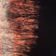 Les Comtes 11/01/2023