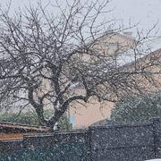 Saint-Pierre-la-Palud 18/01/2023