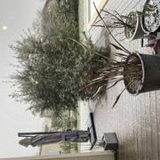 Moulis-en-Médoc 18/01/2023