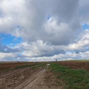 Suilly-la-Tour 19/01/2023