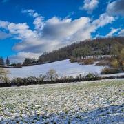 Saint-Amand-de-Coly 20/01/2023