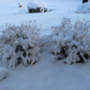 Farébersviller 21/01/2023