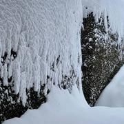 Mollie-Margot 21/01/2023