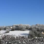 Nadaillac 21/01/2023