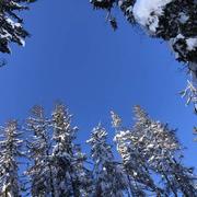 col du Jaillet 22/01/2023