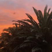 Plouguerneau 22/01/2023