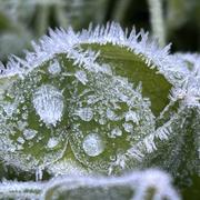 Saint-Émilion 24/01/2023