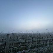 Saint-Émilion 24/01/2023