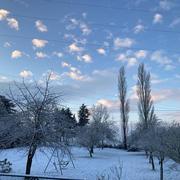 Laneuveville-devant-Nancy 25/01/2023