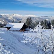 Schnepfenried 29/01/2023