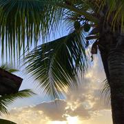 Les Trois Îlets 30/01/2023