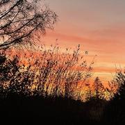 Boissy-Lamberville 06/02/2023