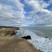 Pointe du Payré 06/02/2023