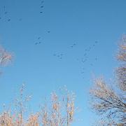 Wolkrange 07/02/2023