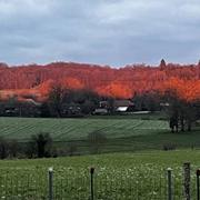 Saint-Hilaire-les-Places 07/02/2023