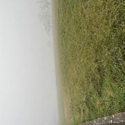 Reichshoffen 14/02/2023