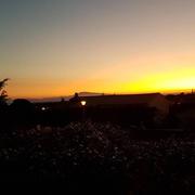 Rochefort-du-Gard 20/02/2023