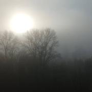 Mauves-sur-Loire 21/02/2023