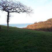 Plage du Petit Ailly 23/02/2023