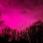 La Chapelle-sur-Loire 25/02/2023